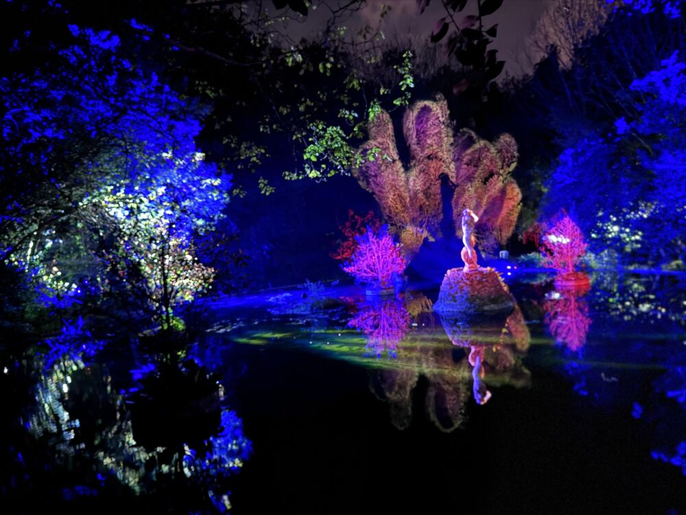 Jardín iluminado de noche en azul y rosa con reflejos en el agua